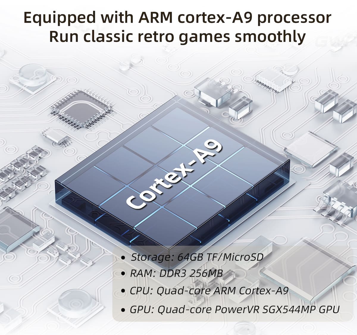 Sliseanna cortex A9